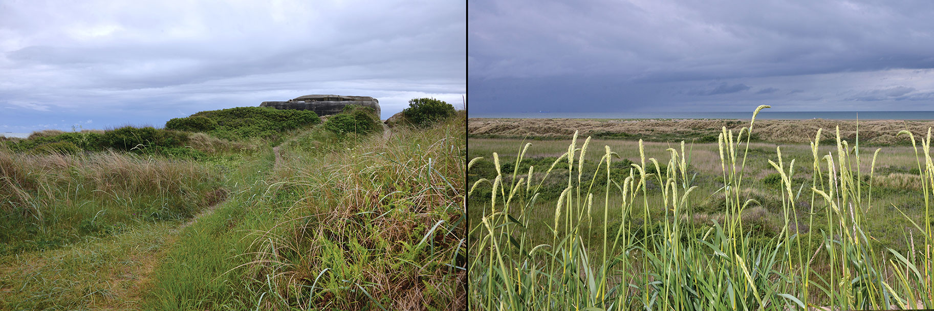 Skagen_Marta Rovatti Studihrad03