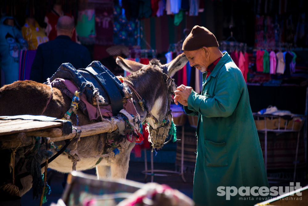 Spacesuit-Media-Marta-Rovatti-Studihrad-FIA-Formula-E-Marrakesh-ePrix-November-2016_MRS2625