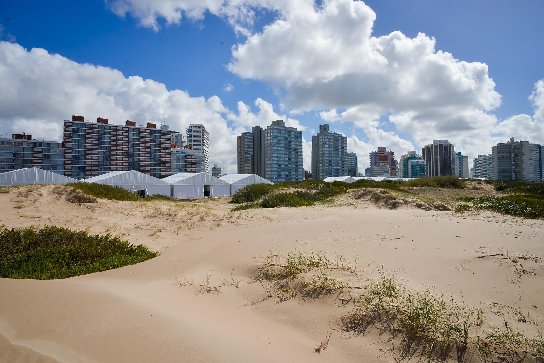 Formula-E-Marta-Rovatti-Studihrad-2018-Punta-del-Este-_MRS7893